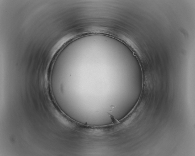 X0000113871082200910081722