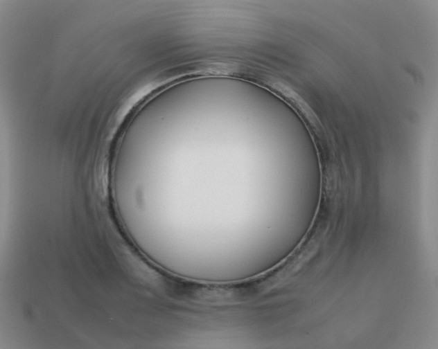 X0000113871083200910081722