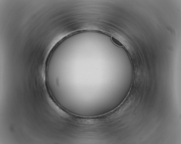 X0000113871084200910081722