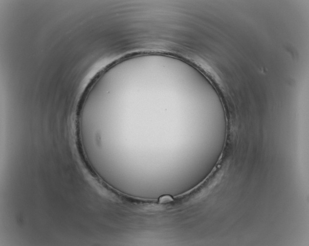 X0000113871085200910081722