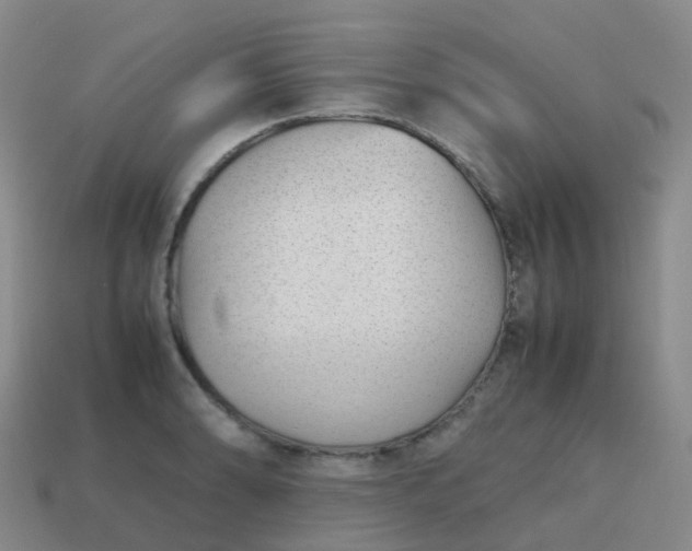 X0000113871086200910081722