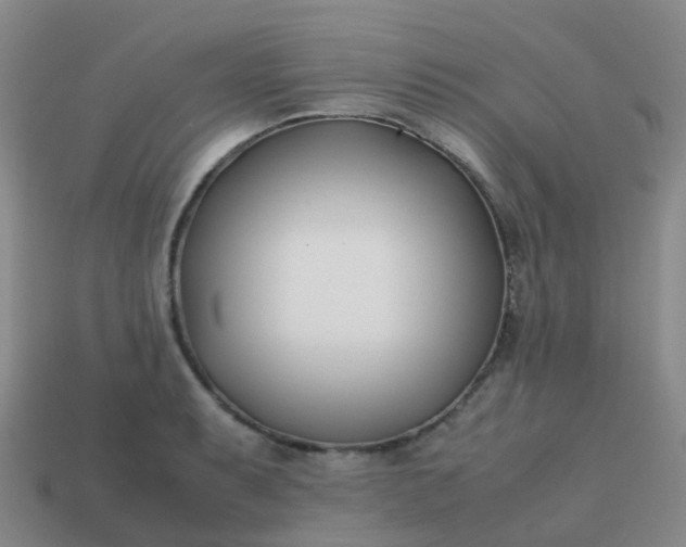 X0000113871087200910081722