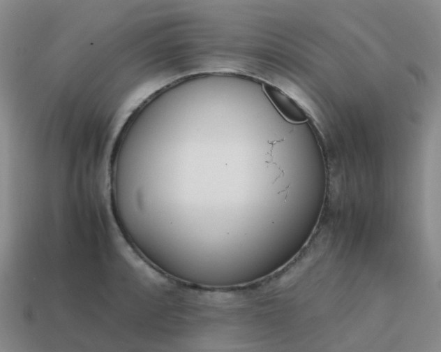 X0000113871088200910081722