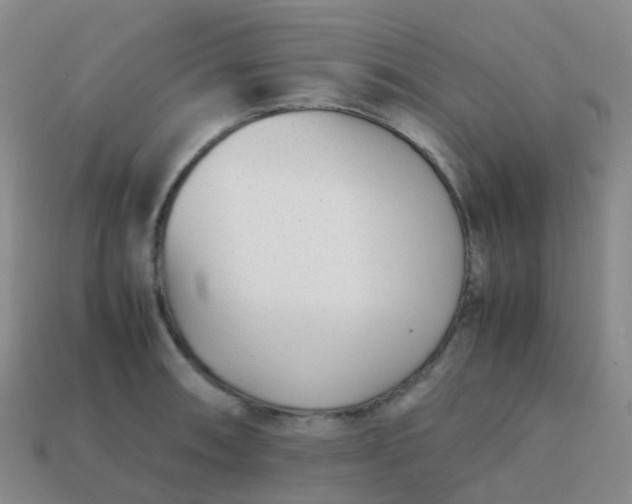 X0000113871090200910081722