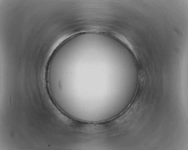 X0000113871091200910081722