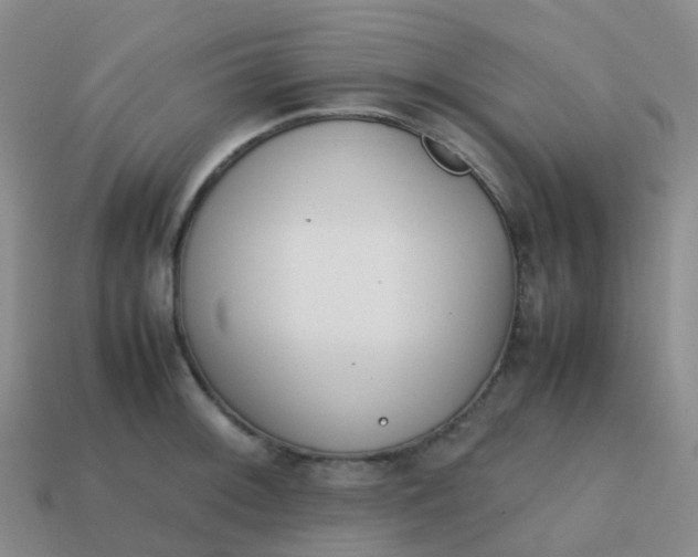 X0000113871092200910081722