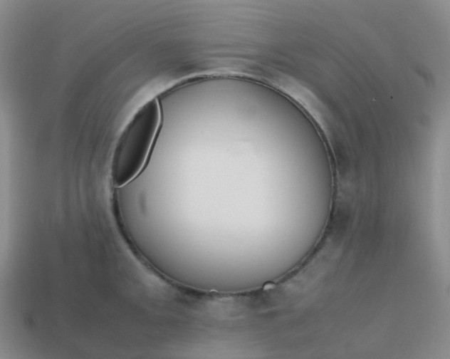 X0000113871093200910081722