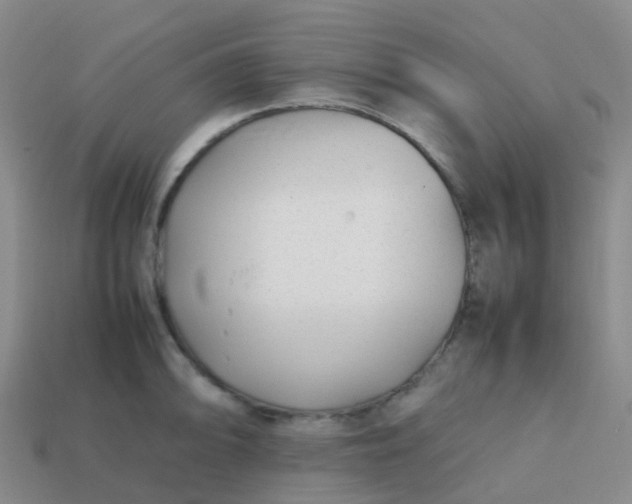 X0000113871094200910081722