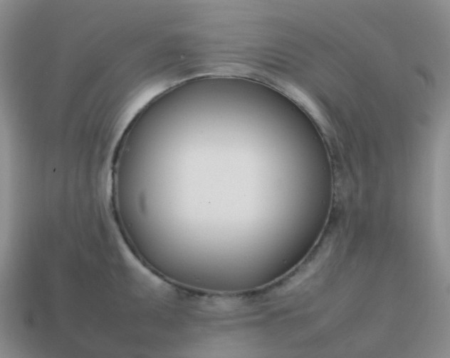 X0000113871095200910081721