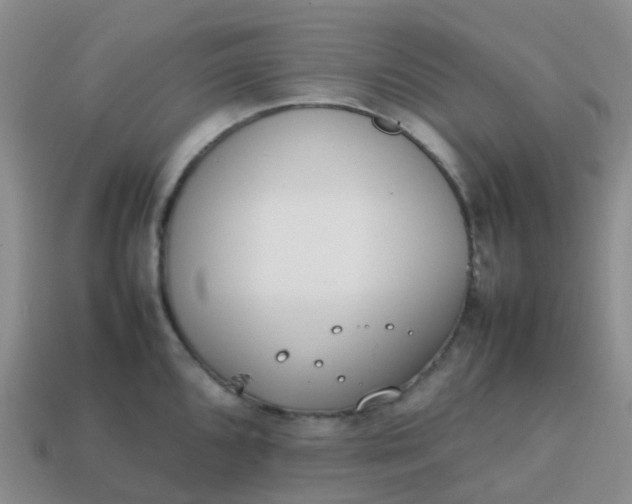 X0000113871096200910081721