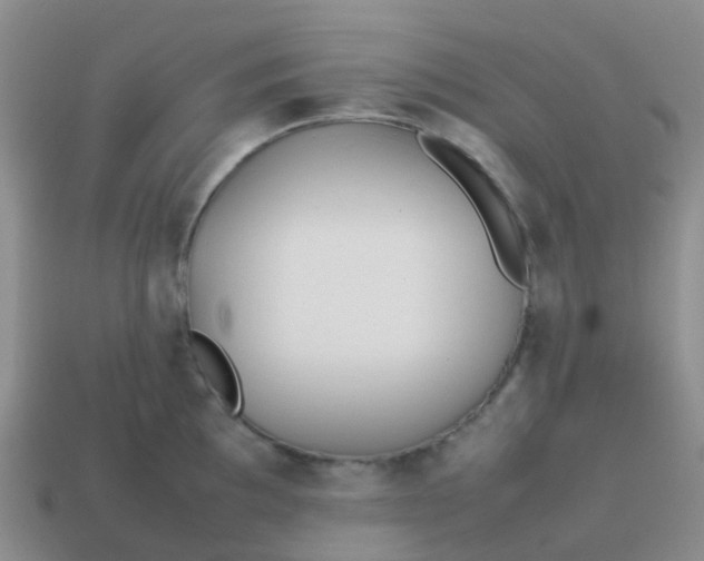 X0000113871097200910081721