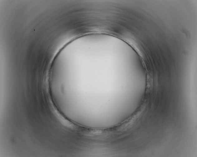 X0000113871098200910081721