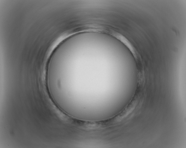 X0000113871099200910081721