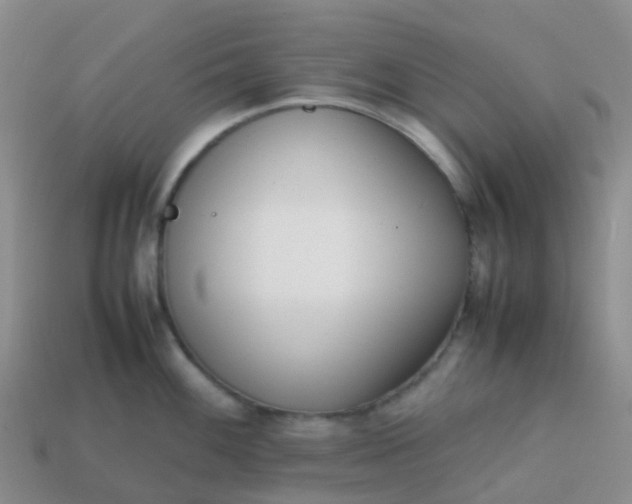 X0000113871100200910081721