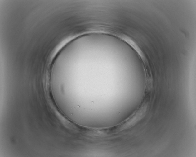 X0000113871101200910081721