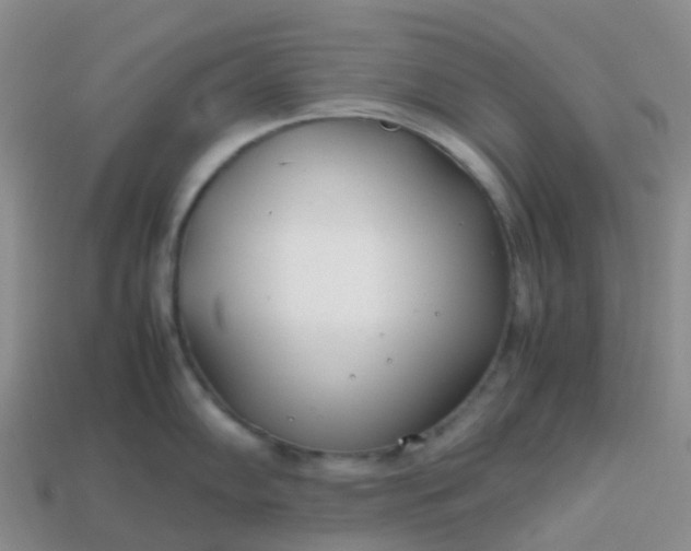 X0000113871102200910081721