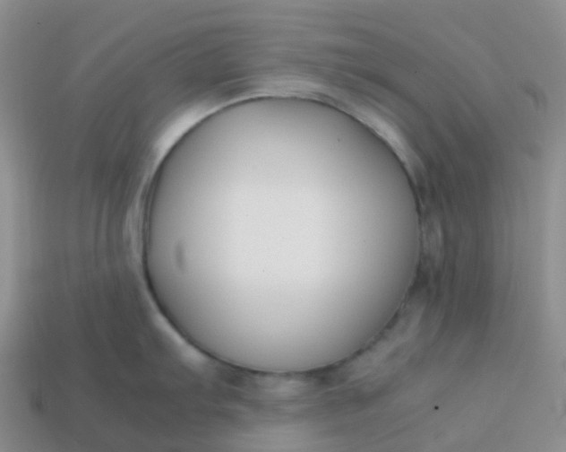 X0000113871103200910081721