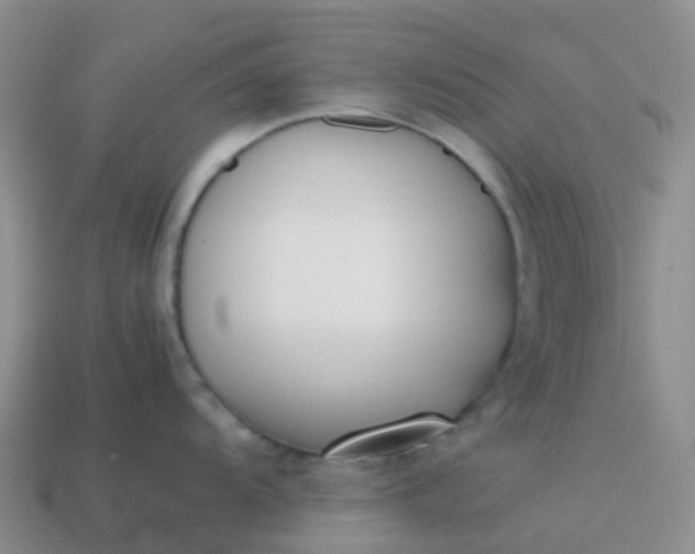 X0000113871104200910081721