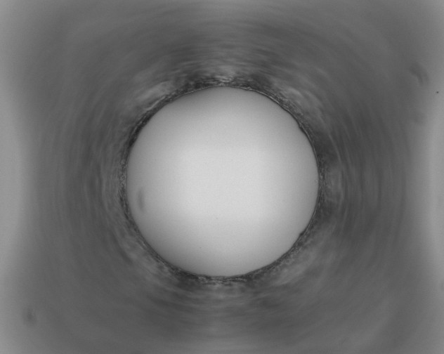 X0000113871105200910081721