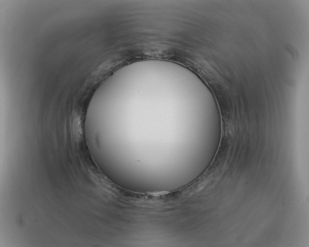 X0000113871106200910081721