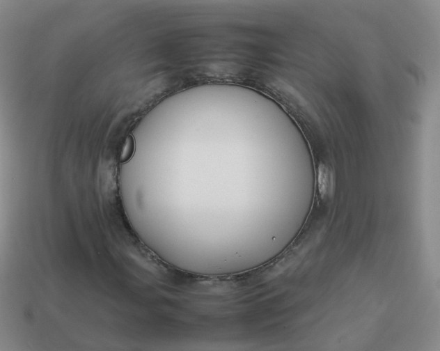 X0000113871107200910081721