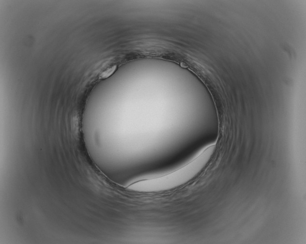 X0000113871108200910081721