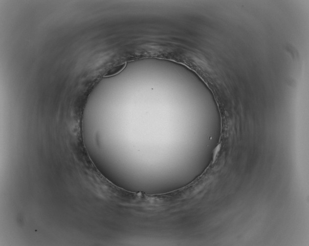 X0000113871109200910081721