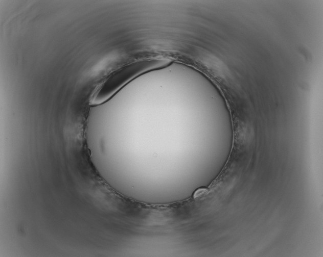 X0000113871110200910081721