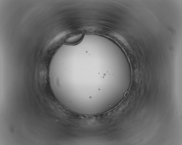 X0000113871111200910081721