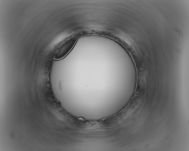 X0000113871112200910081721