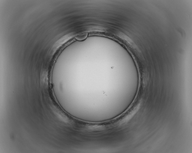 X0000113871113200910081721