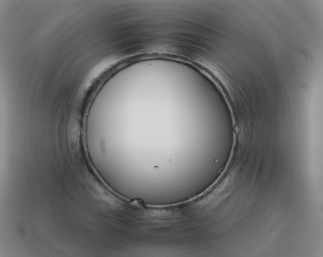 X0000113871115200910081721