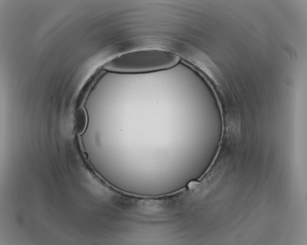 X0000113871116200910081721