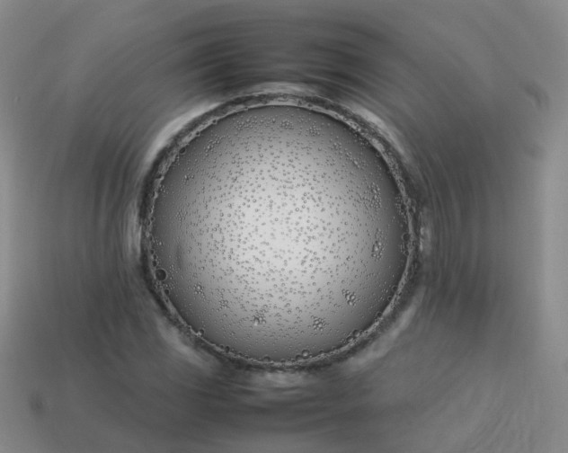 X0000113871117200910081721