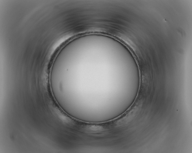 X0000113871119200910081721