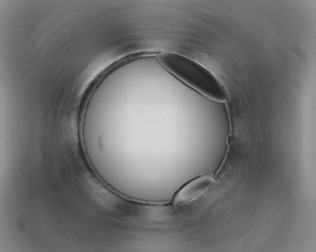 X0000113871120200910081721