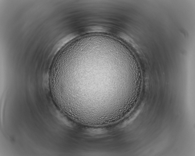 X0000113871121200910081721