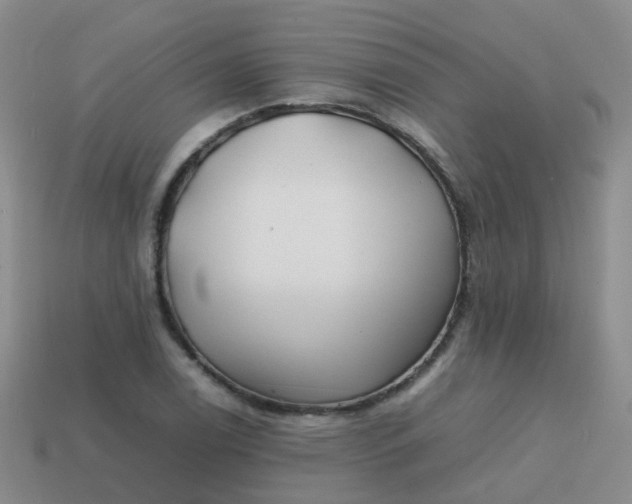 X0000113871122200910081721