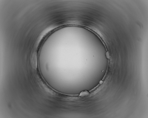 X0000113871123200910081721