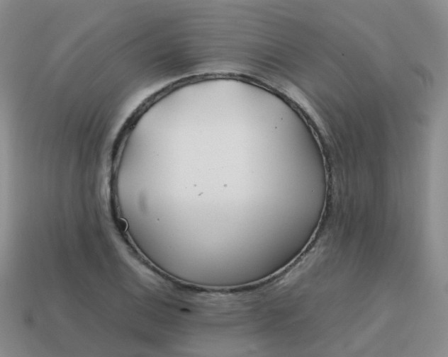 X0000113871124200910081721