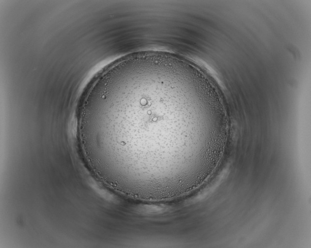 X0000113871125200910081721