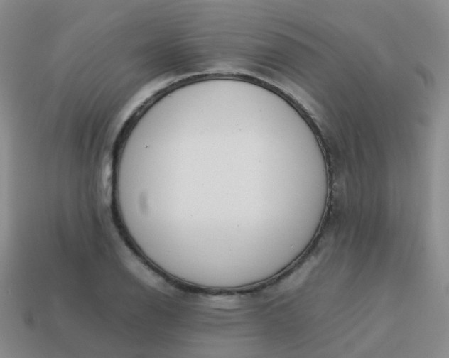 X0000113871126200910081721