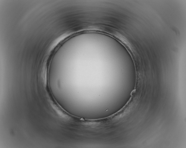 X0000113871127200910081721