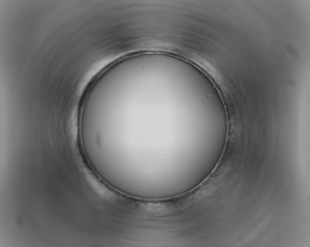 X0000113871128200910081721