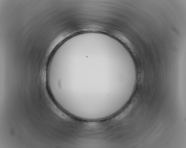 X0000113871130200910081721