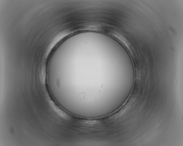 X0000113871131200910081721