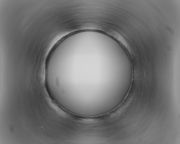 X0000113871132200910081721