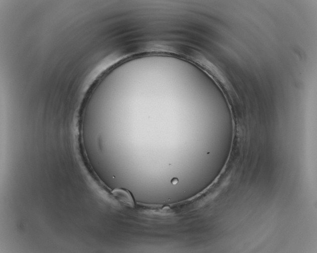 X0000113871133200910081721