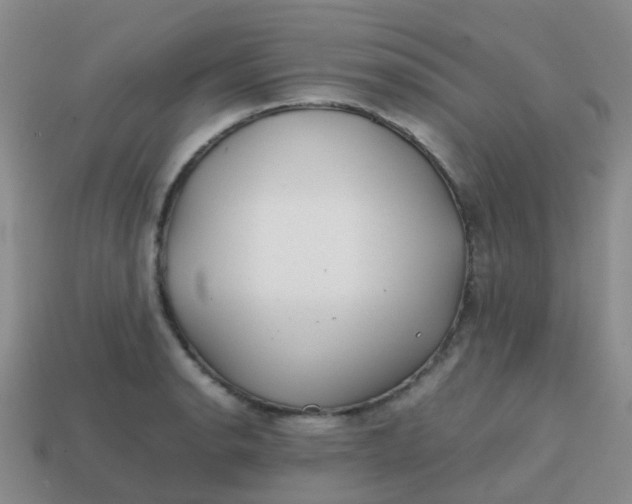 X0000113871134200910081721