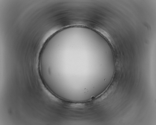 X0000113871135200910081721